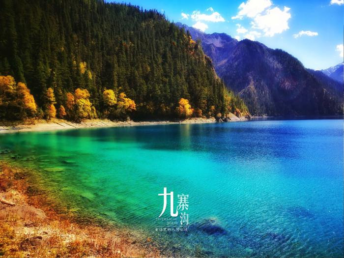 发现更多有趣的冷知识 | 瑞虎3调节后视镜旁边的狗头按钮是什么?冷知识分享平台