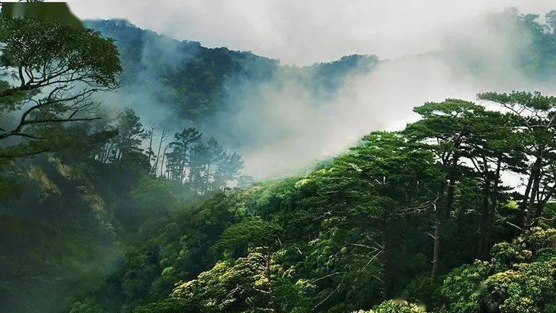 小猫钓鱼游戏龙王版有船
